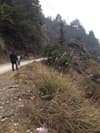 Motorcycle on a winding road through mountains