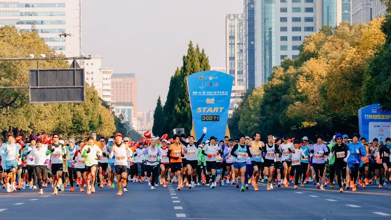 a large group of runners on a road in a city