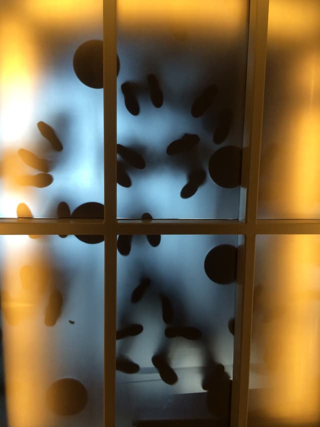 A window with a blurred view and brown shapes visible through it