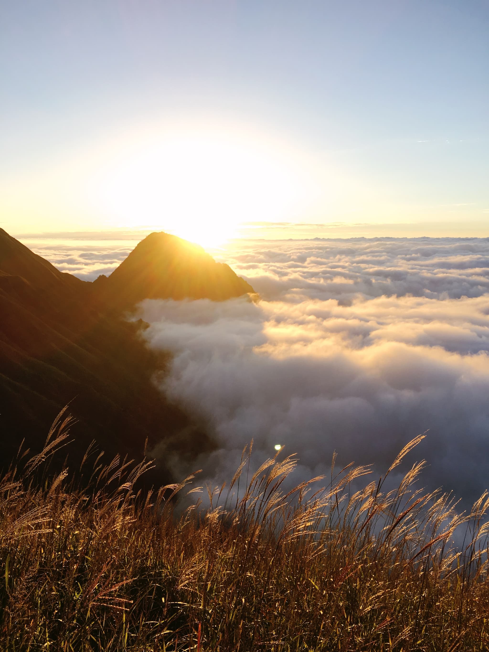sunrise above clouds with mountain peaks and grassy foreground