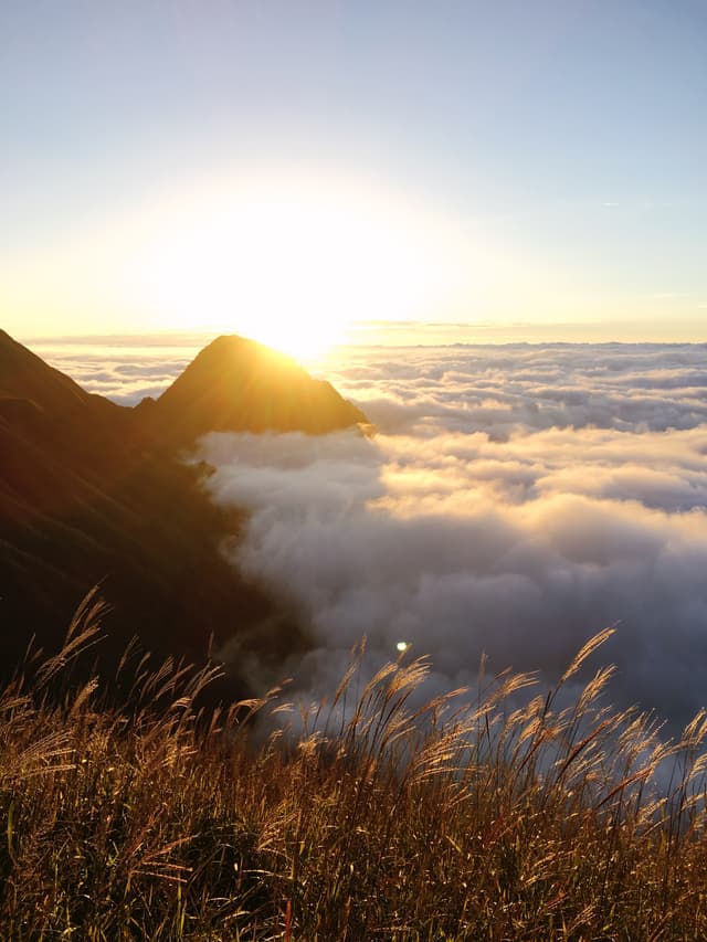 sunrise above clouds with mountain peaks and grassy foreground
