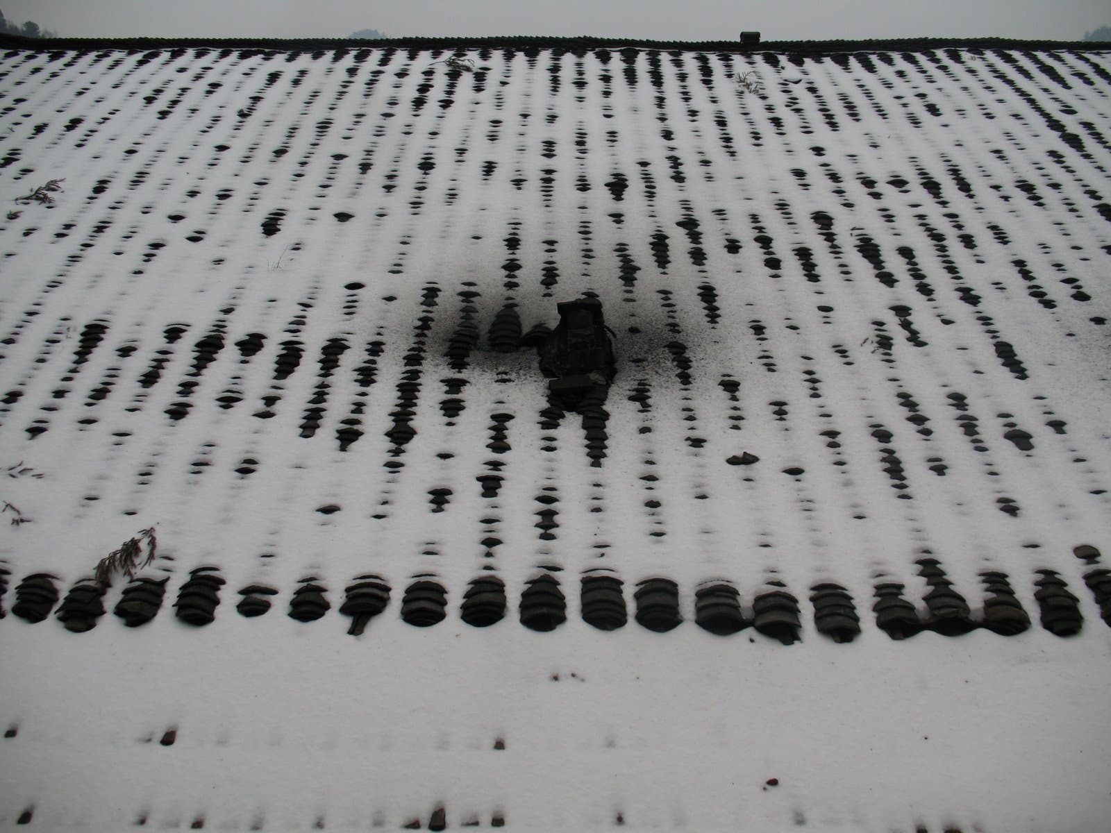 Snow covers the ground with rows of dark holes