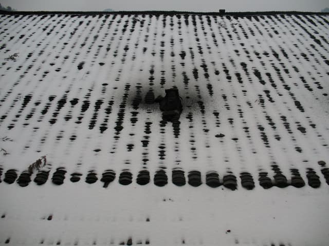 Snow covers the ground with rows of dark holes