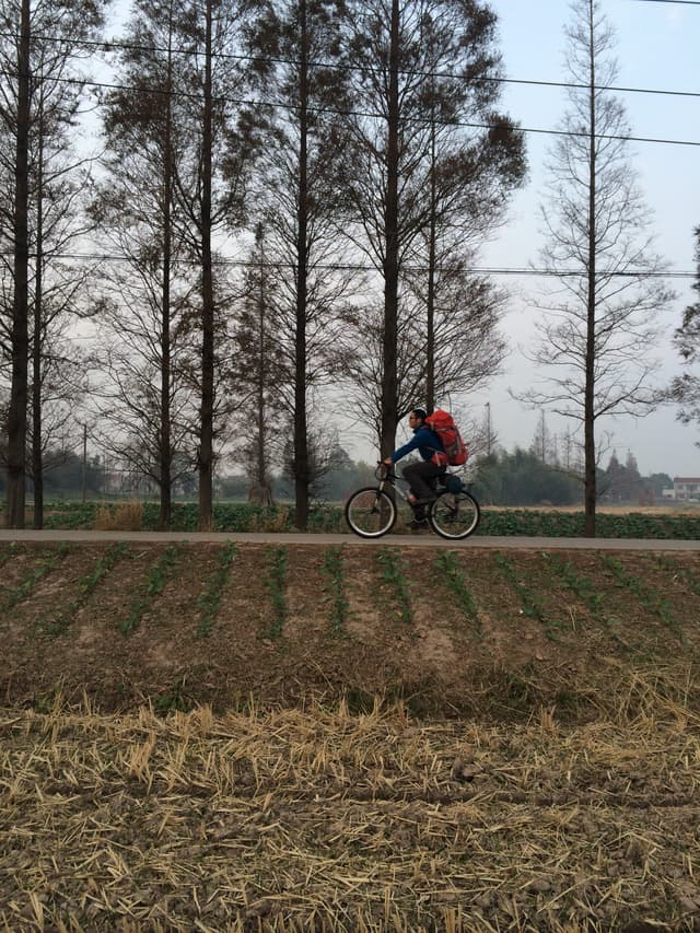a cyclist riding on a road beside a field of dry grass and trees