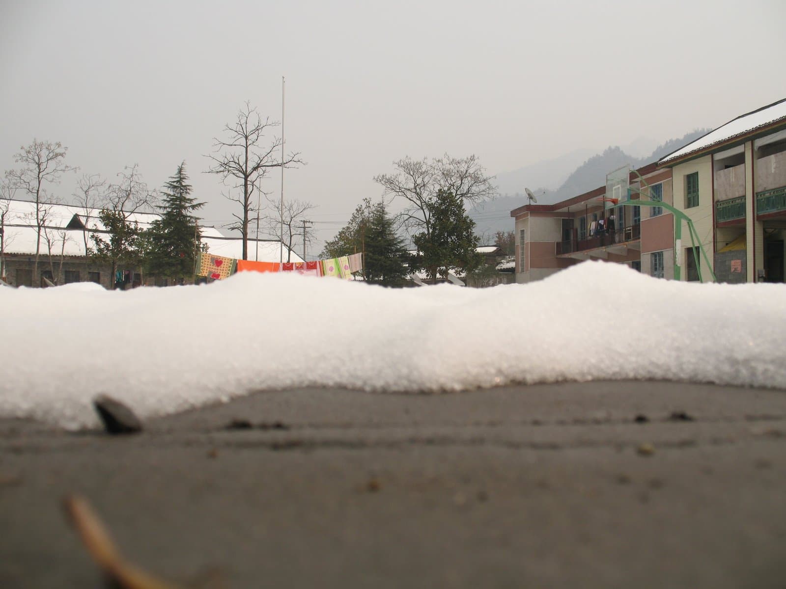 Snowy ground with buildings and trees in the background