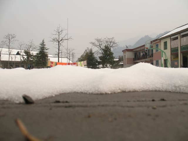 Snowy ground with buildings and trees in the background