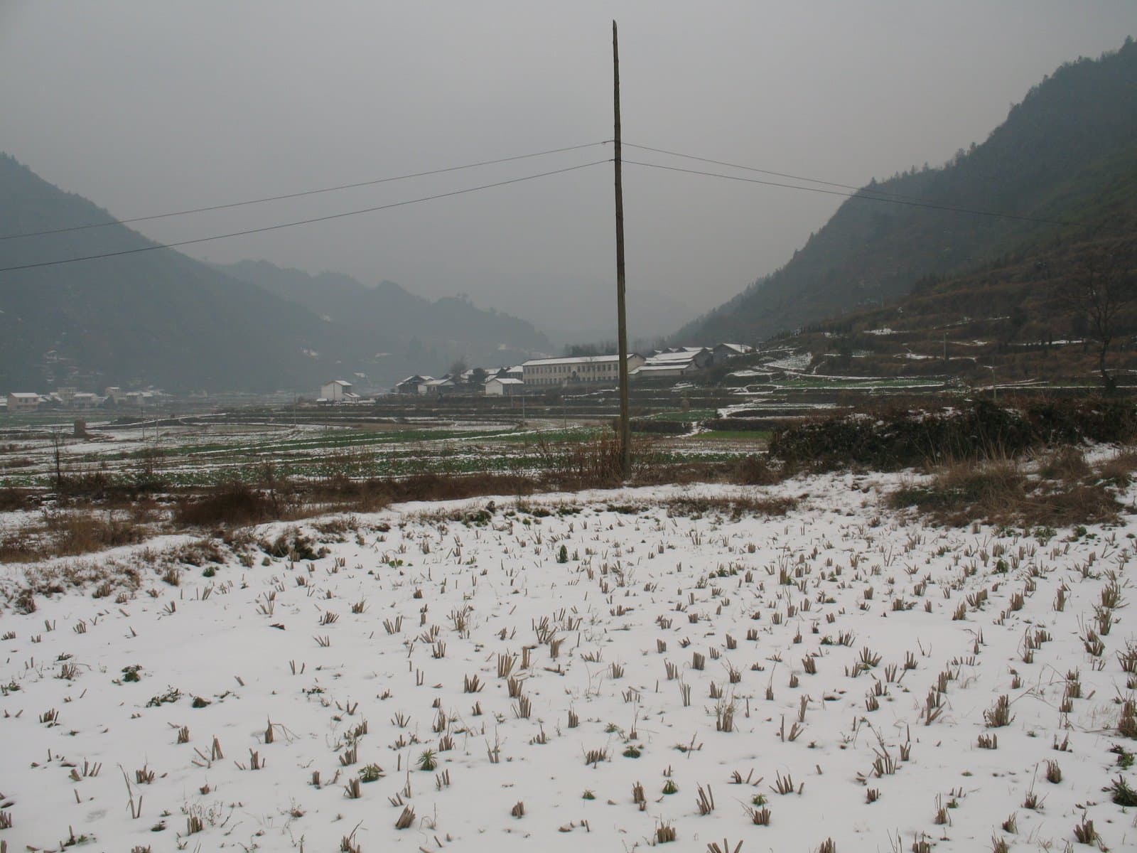 Snow covers a field with small plants and a tall pole stands in the center, with buildings and mountains in the background