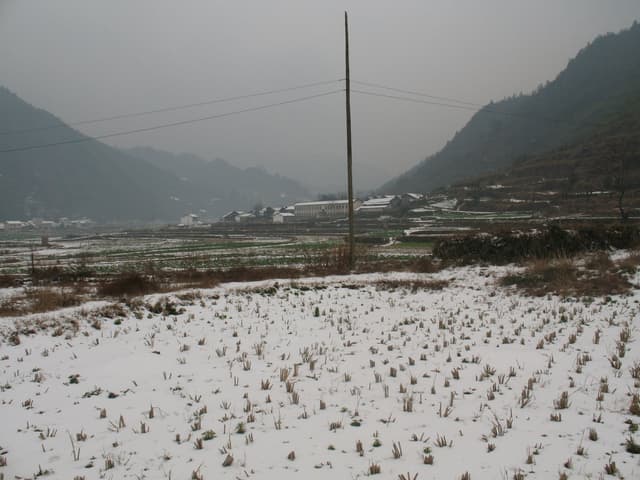 Snow covers a field with small plants and a tall pole stands in the center, with buildings and mountains in the background