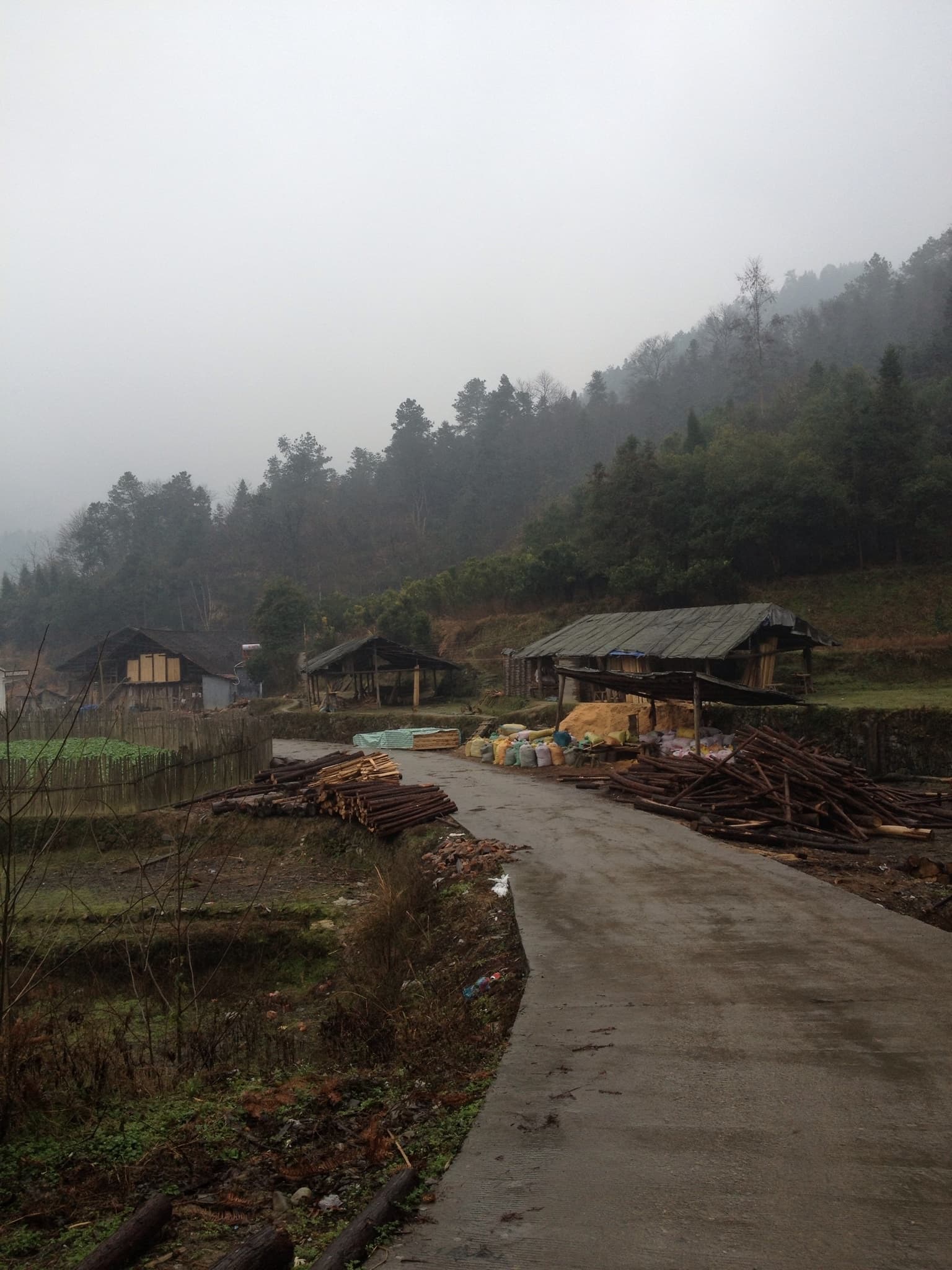 A foggy road with a building and trees in the background