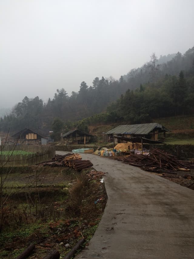 A foggy road with a building and trees in the background