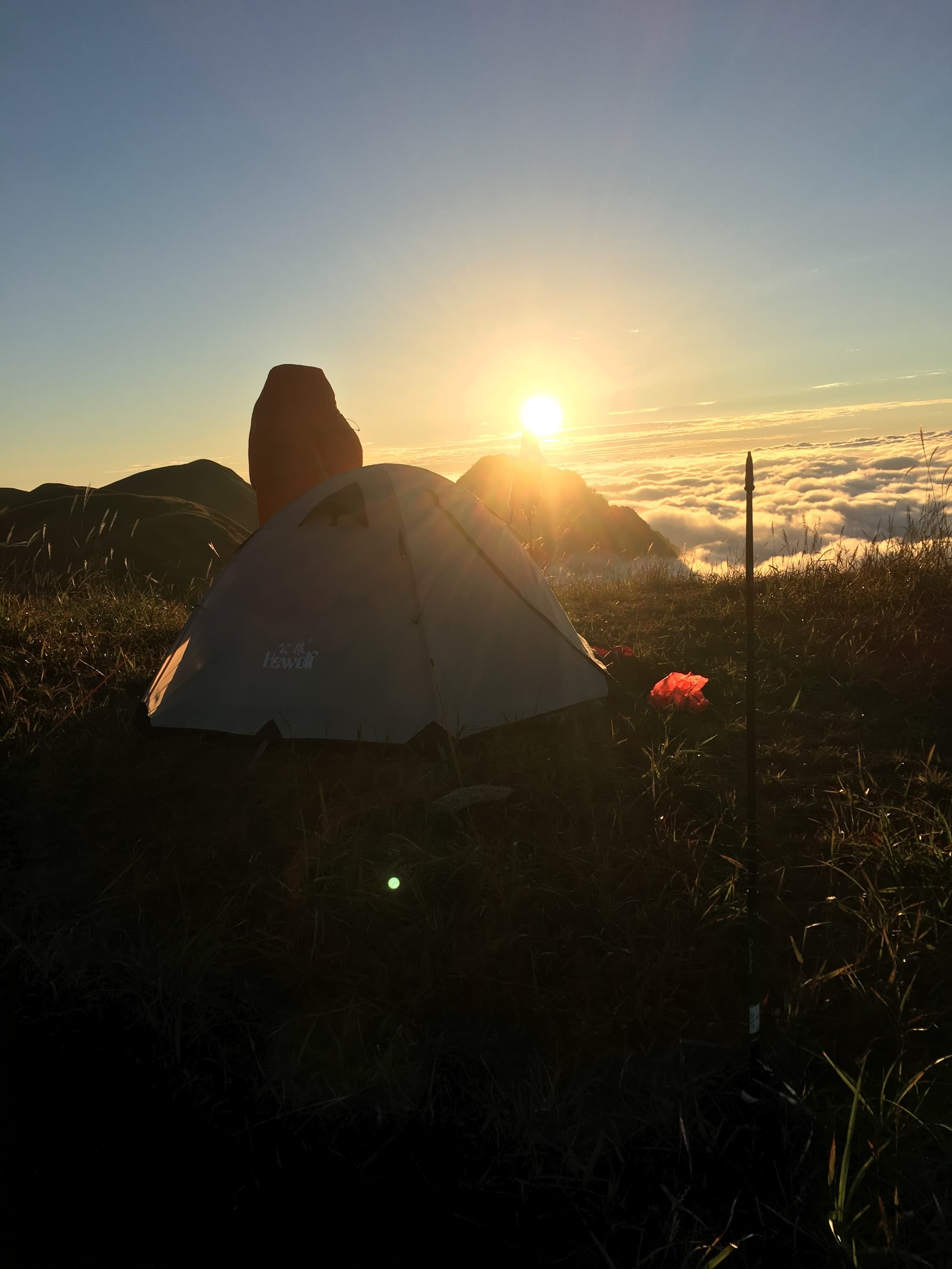 A person holding a large fish at sunset