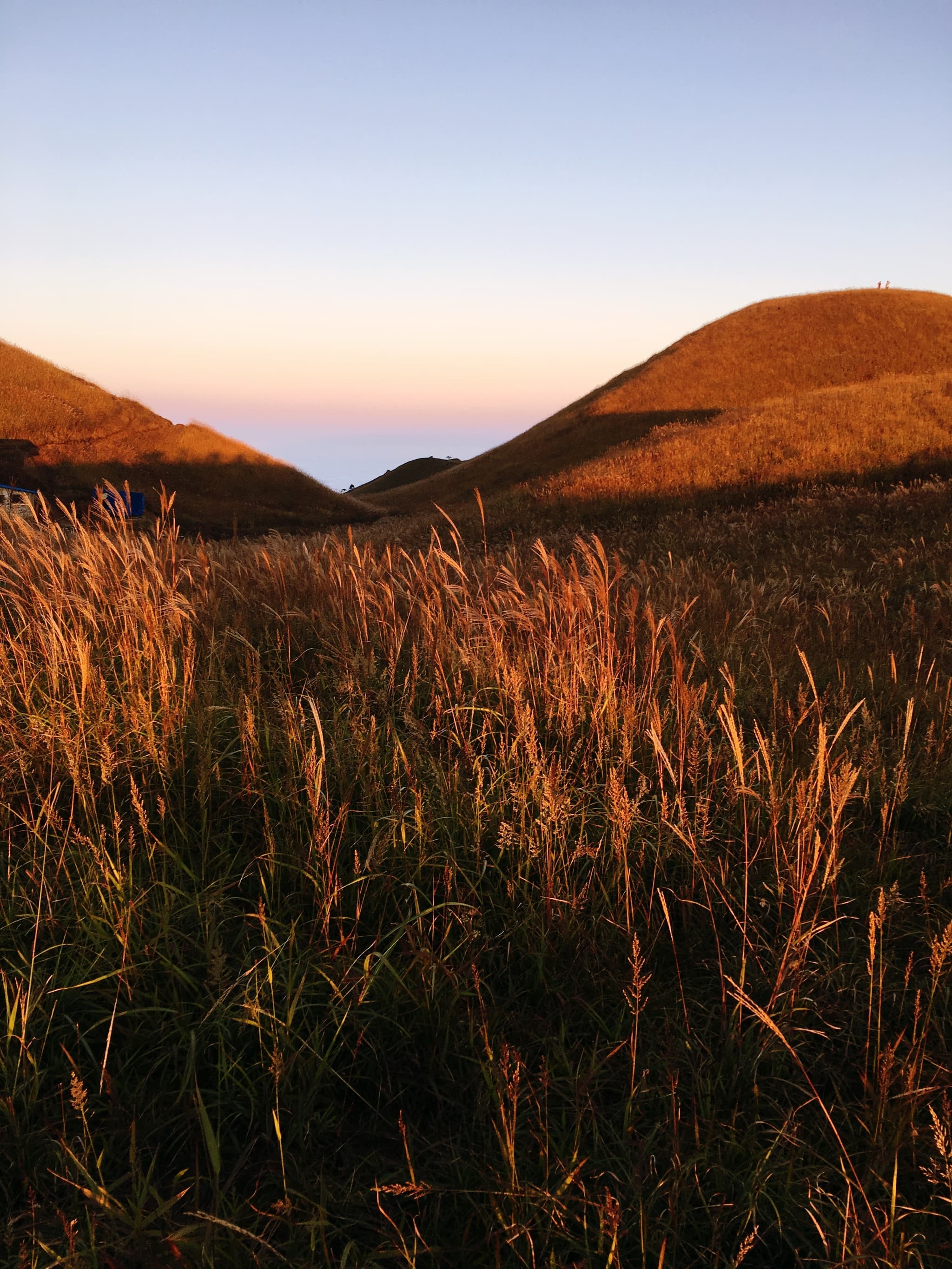 rolling hills and tall grass under a sunset sky