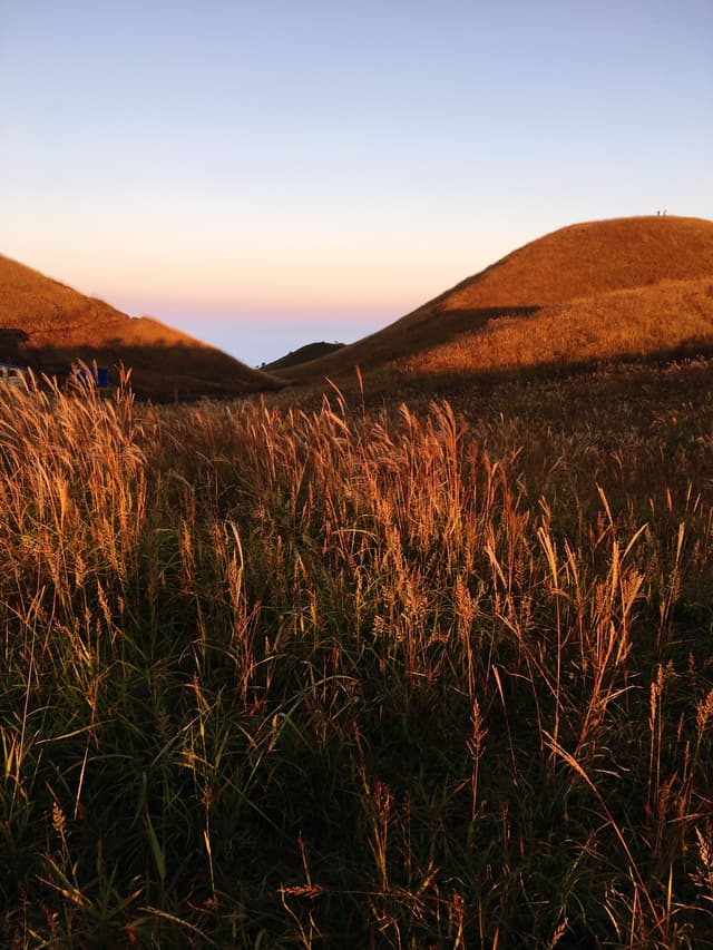 rolling hills and tall grass under a sunset sky