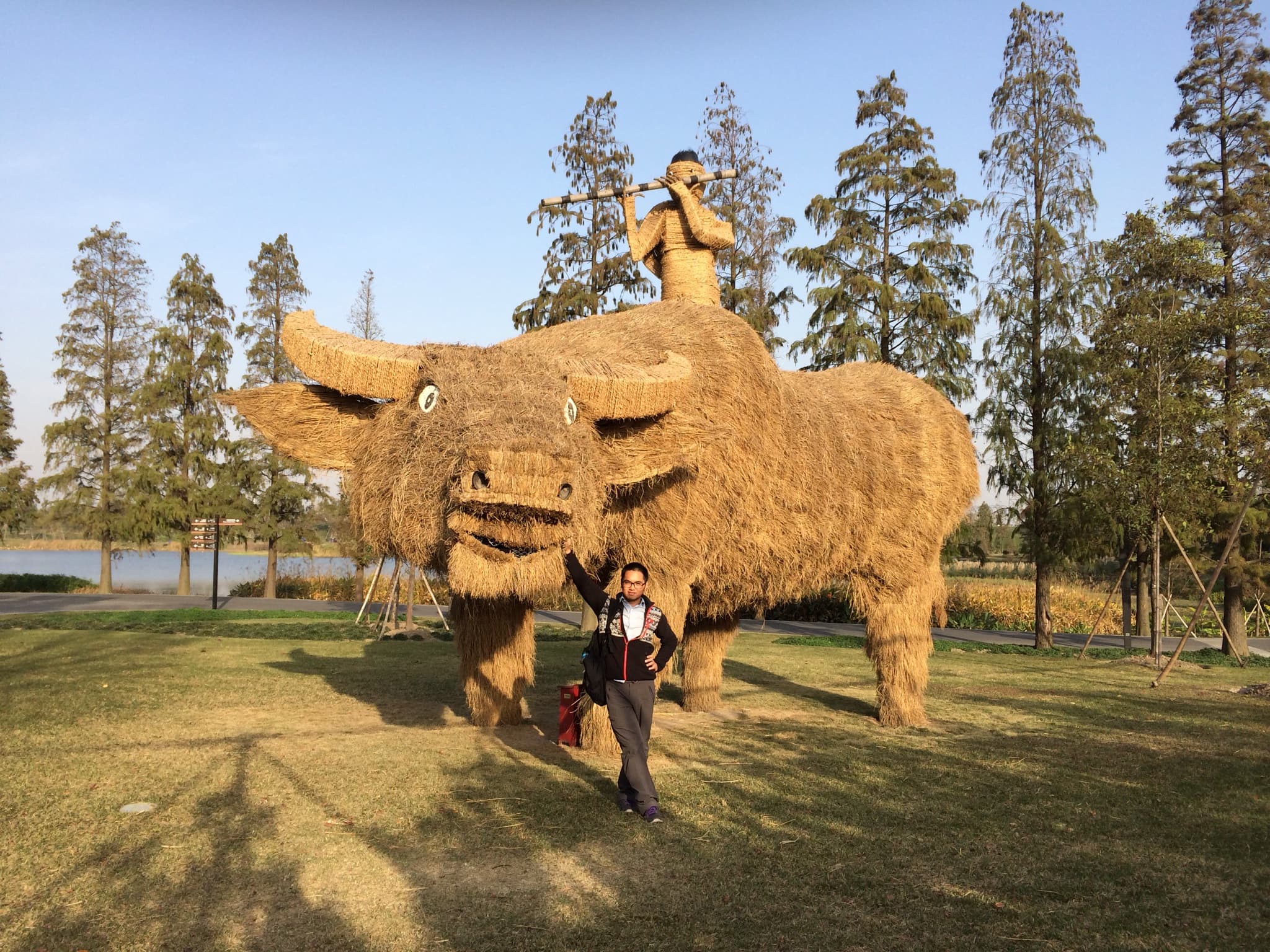 A person stands in front of a large straw sculpture of a bull with a rider on top in a grassy area with trees