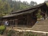 traditional wooden house with thatched roof and staircase leading up to it, surrounded by trees and greenery