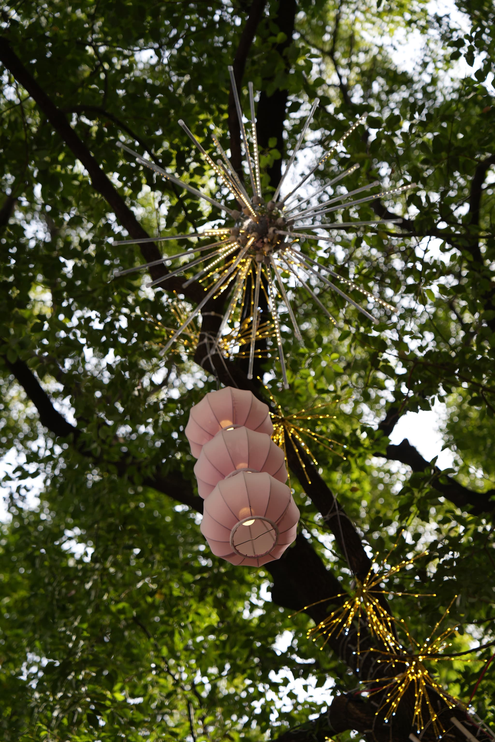 Three pink lanterns hang from a tree adorned with gold tinsel against a backdrop of green leaves and bright sky