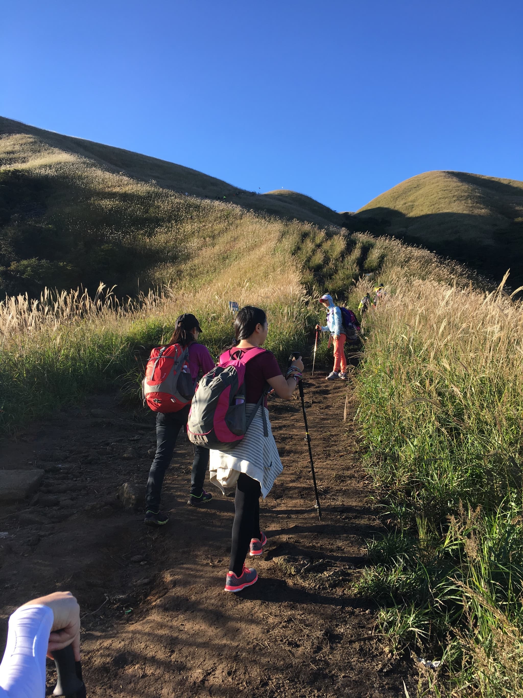 People standing on a dirt path in a grassy field with a hill in the background