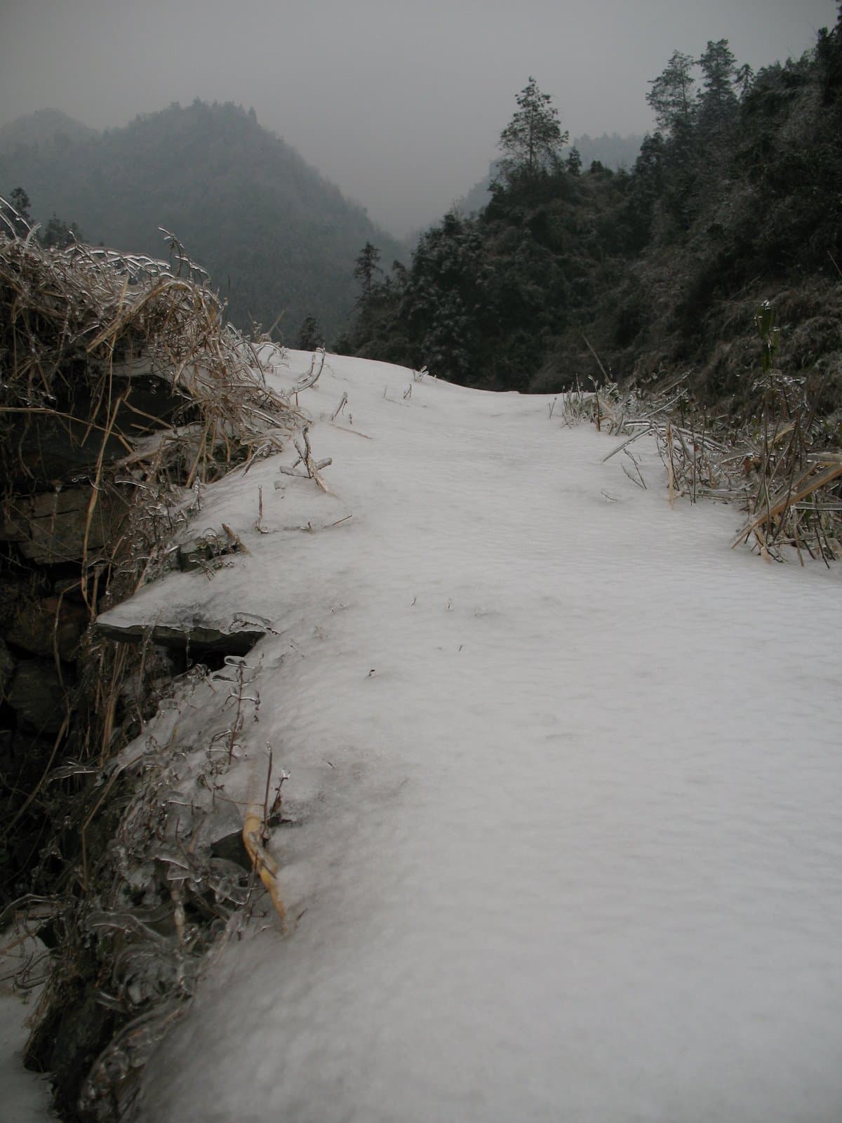 A snow-covered path winding through a mountainous landscape with trees and foggy conditions