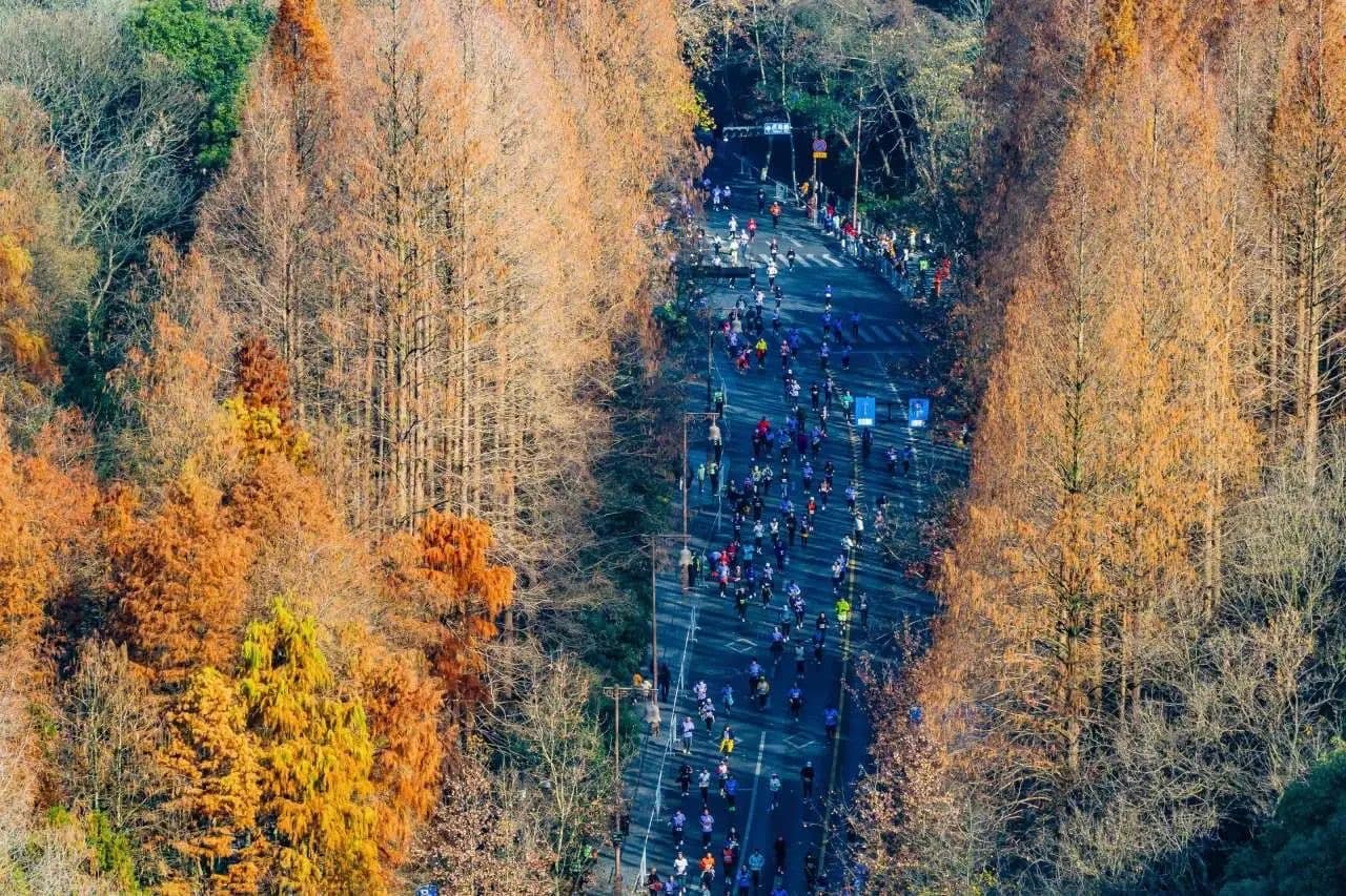 Aerial view of a crowd of people running down a road surrounded by trees with orange and yellow leaves