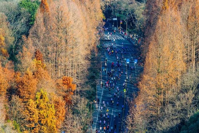 Aerial view of a crowd of people running down a road surrounded by trees with orange and yellow leaves