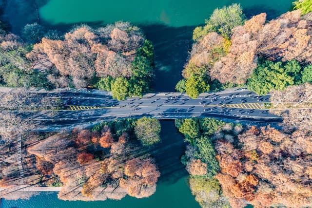 Aerial view of a bridge over a river with trees on both sides