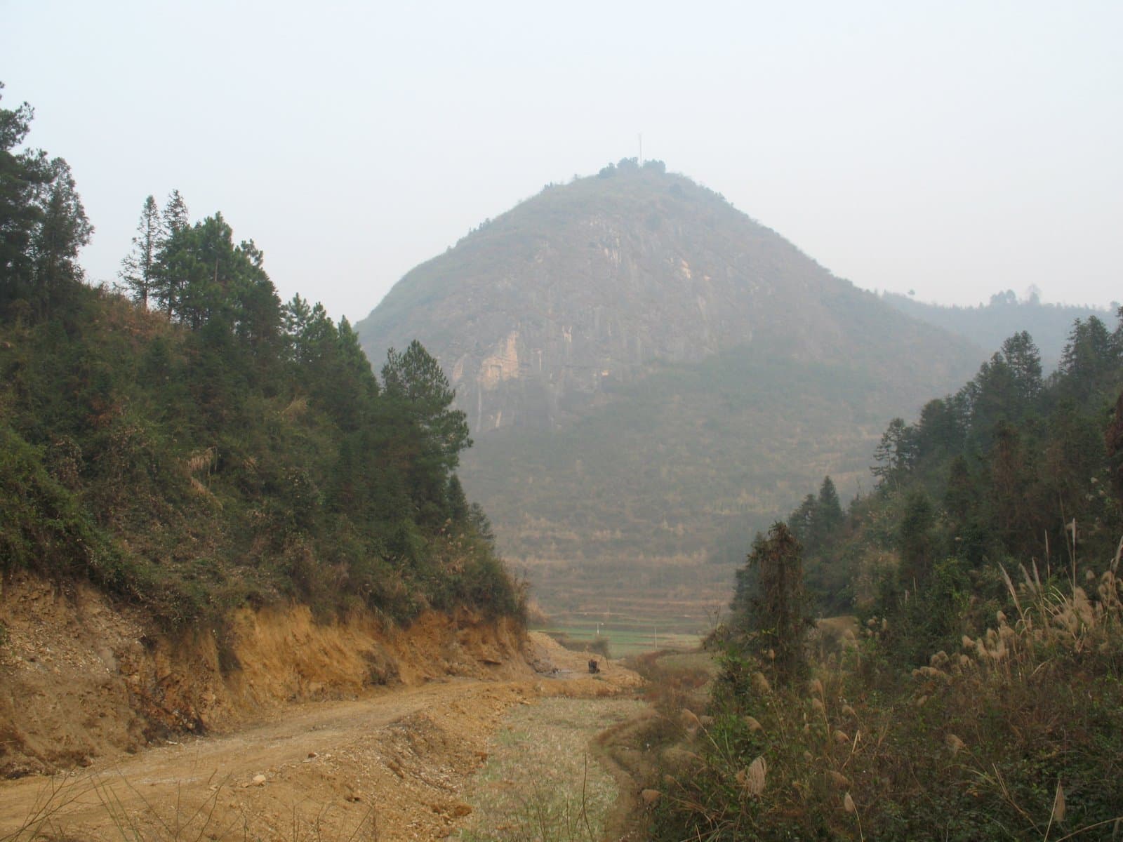 A dirt road winds through a mountainous landscape with trees and a large mountain in the background