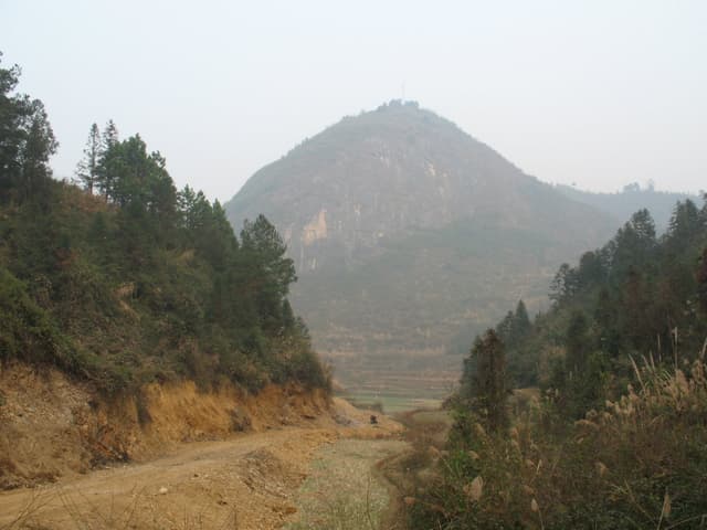 A dirt road winds through a mountainous landscape with trees and a large mountain in the background