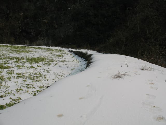 Snow covers a winding path through a grassy field