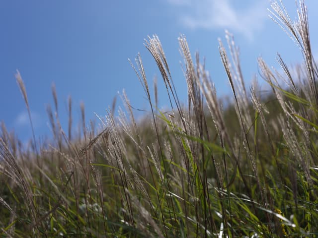 hiking on the Wugong mountain