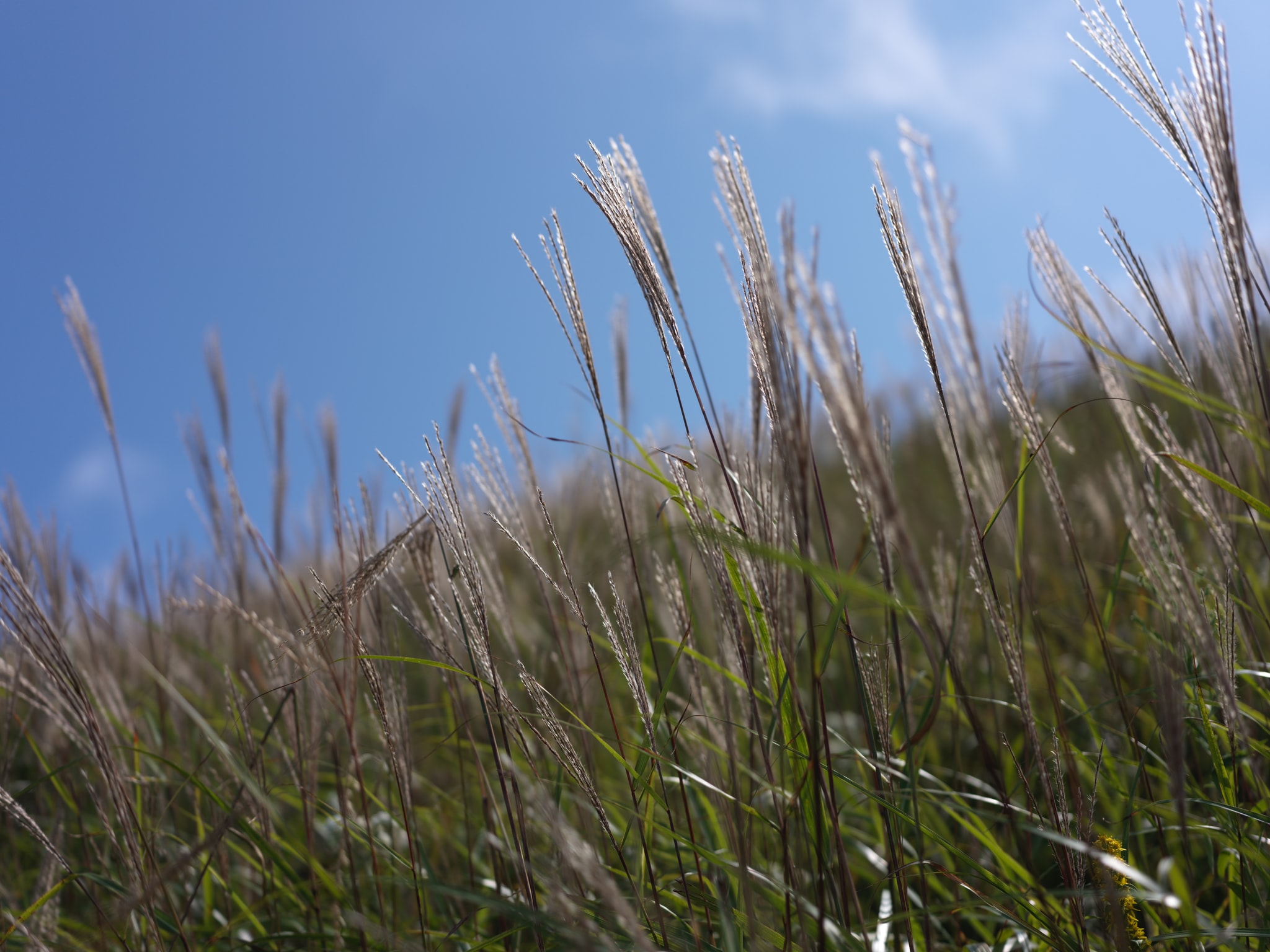 hiking on the Wugong mountain