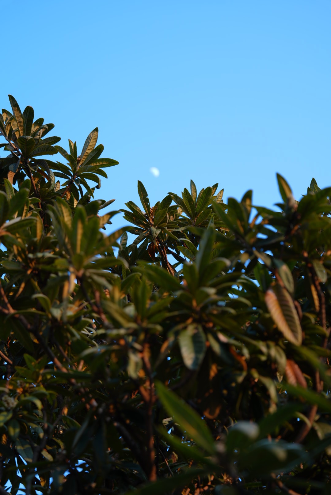 We saw the sunset from a golf course