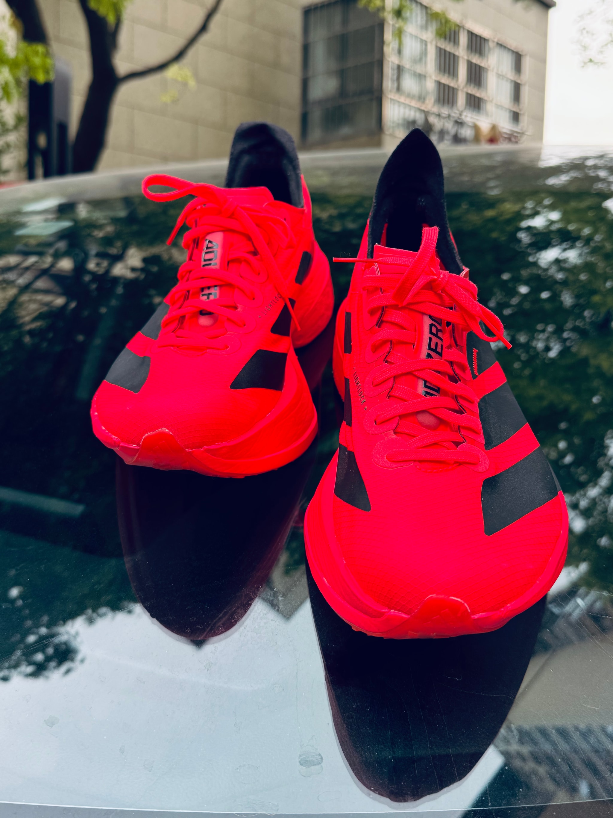 AdiZreo Pro 4 - My third pair of carbon running sneakers.