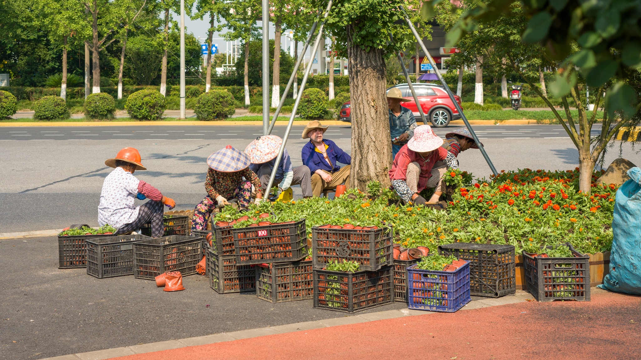 the workers are working under the sun