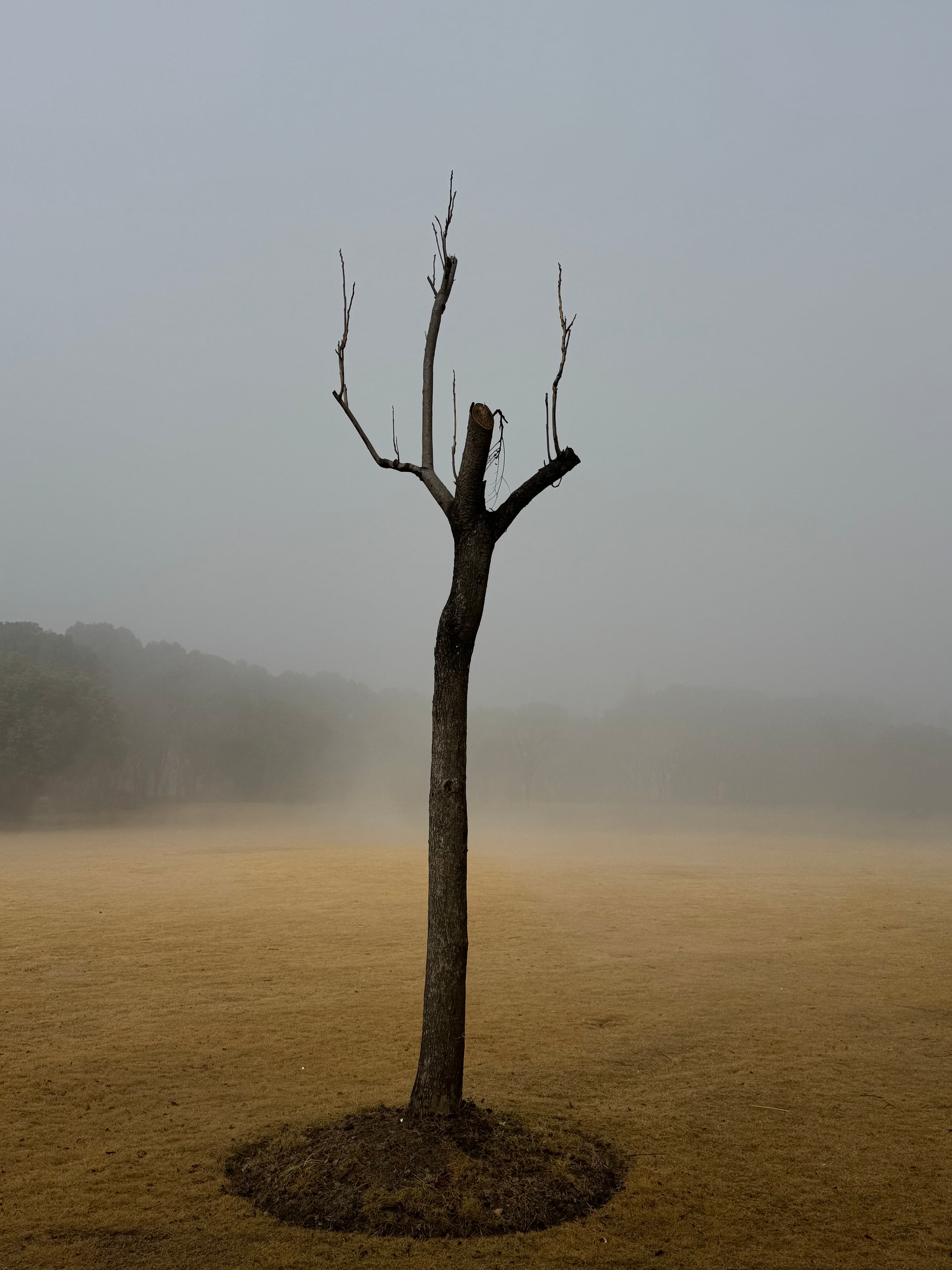 The foggy morning in the Auto park nearby my apartment